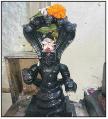 Rishi Patanjali – The 1,000 Headed Snake Teacher